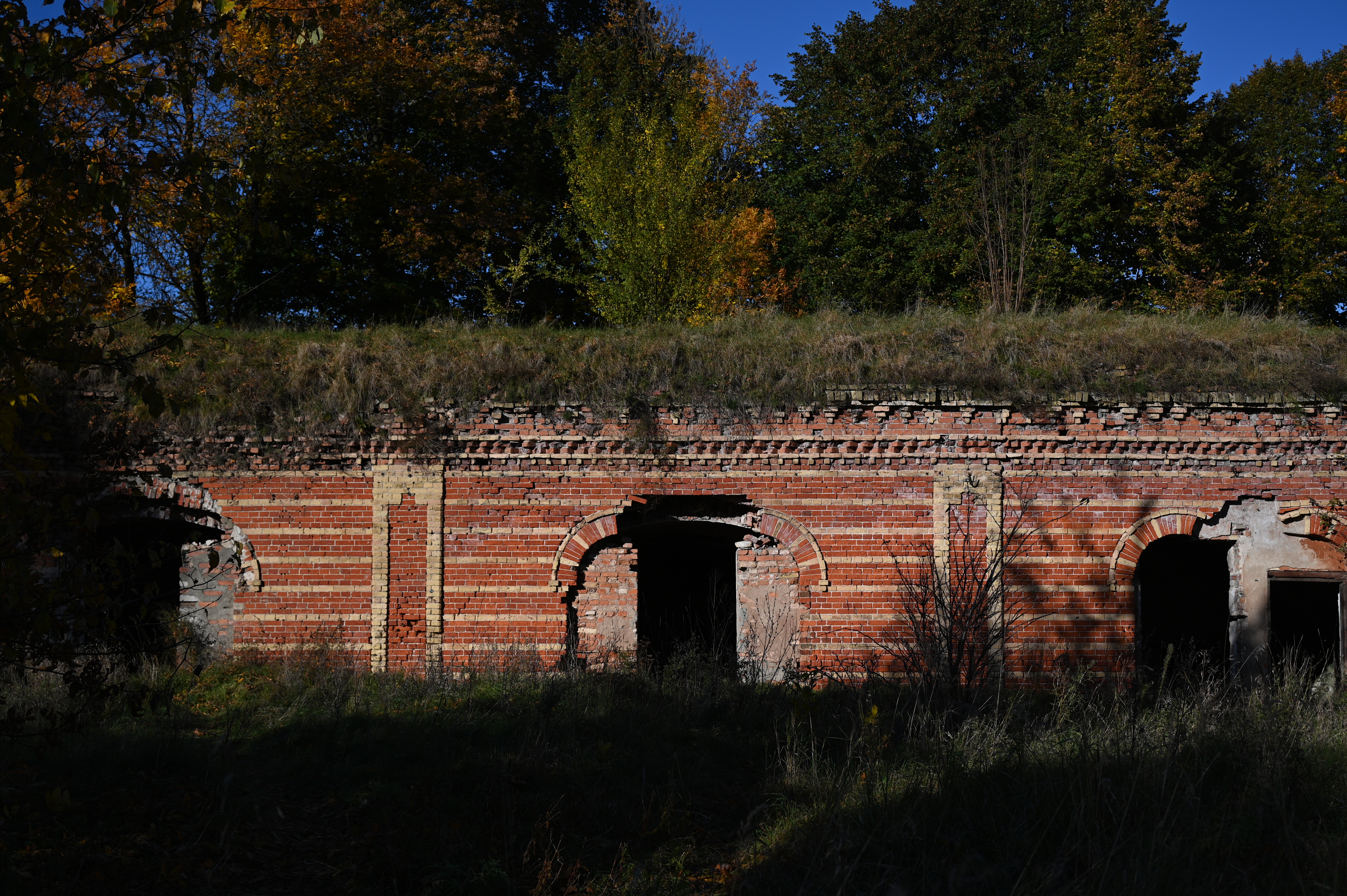 2025/10/18 - walk/DSC_0051.JPG